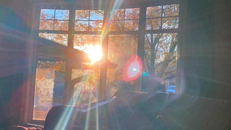 The morning Sun