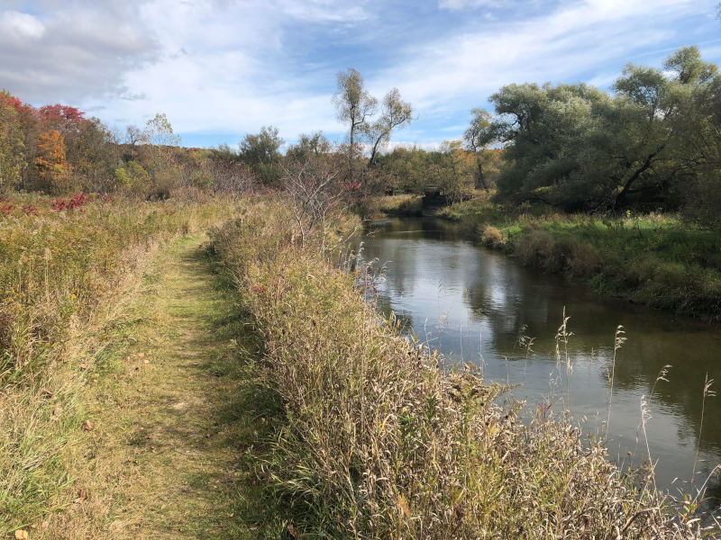 Thanksgiving day walk