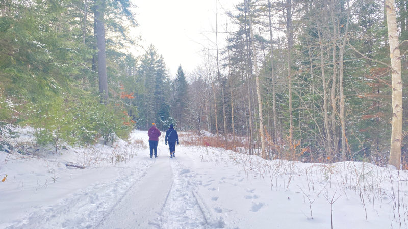 Winter trail walk