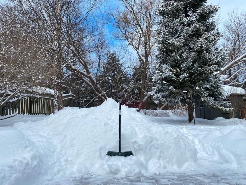 Snow Mountain is getting pretty high.