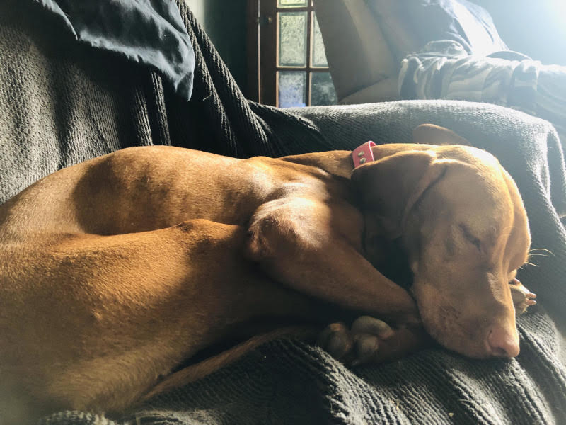 Nap time