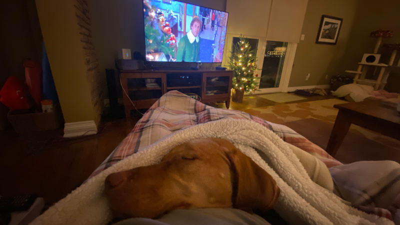 Perfect Christmas Eve